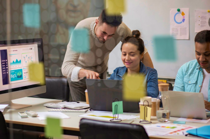 software training
